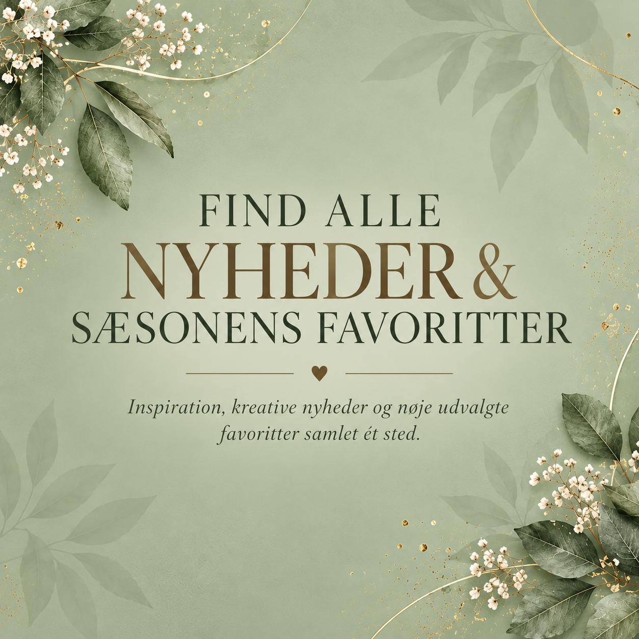 NEWS & FAVORITES