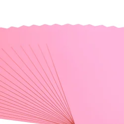Florence Cardstock Paper - Smooth 20-PAK
