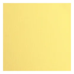 Florence Cardstock Paper 216g - Texture 30x30 - STYKVIS