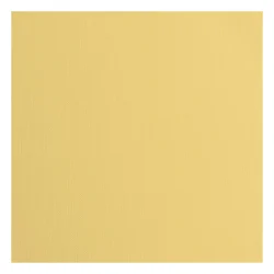 Florence Cardstock Paper 216g - Texture 30x30 - STYKVIS