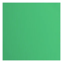 Florence Cardstock Paper 216g - Texture 30x30 - STYKVIS