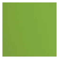 Florence Cardstock Paper 216g - Texture 30x30 - STYKVIS