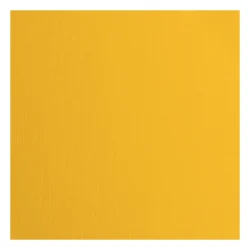 Florence Cardstock Paper 216g - Texture 30x30 - STYKVIS