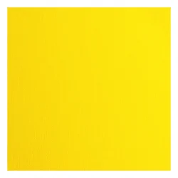 Florence Cardstock Paper 216g - Texture 30x30 - STYKVIS