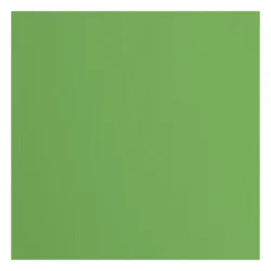 Florence Cardstock Paper 216g - Texture 30x30 - STYKVIS