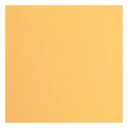 Florence Cardstock Paper 216g - Texture 30x30 - STYKVIS