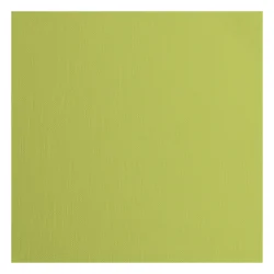 Florence Cardstock Paper 216g - Texture 30x30 - STYKVIS