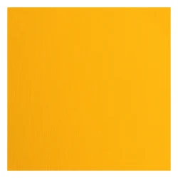 Florence Cardstock Paper 216g - Texture 30x30 - STYKVIS