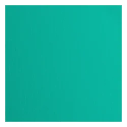 Florence Cardstock Paper 216g - Texture 30x30 - STYKVIS