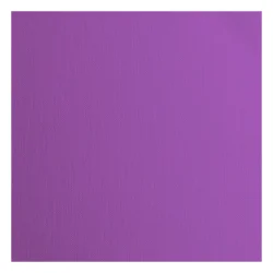 Florence Cardstock Paper 216g - Texture 30x30 - STYKVIS